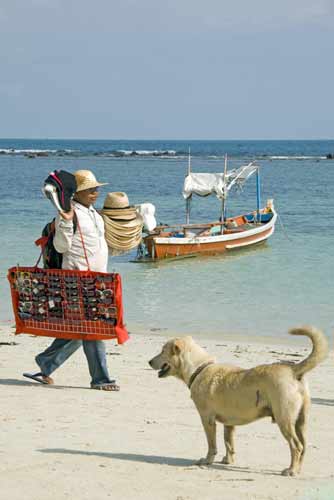 beach dog-AsiaPhotoStock