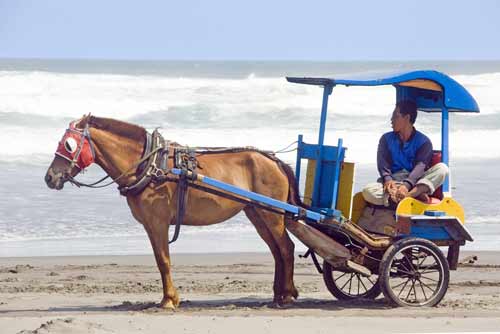 beach horse carriage-AsiaPhotoStock