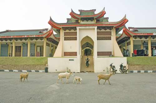 beijing mosque-AsiaPhotoStock