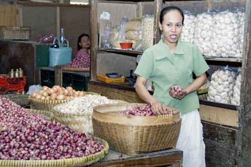 beringharjo onions-AsiaPhotoStock