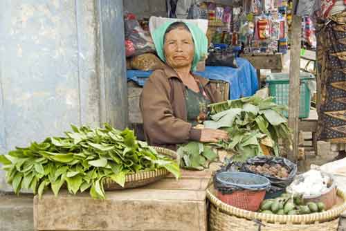 betel nut leaves-AsiaPhotoStock