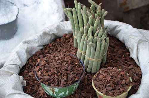 betel nut waitabula-AsiaPhotoStock