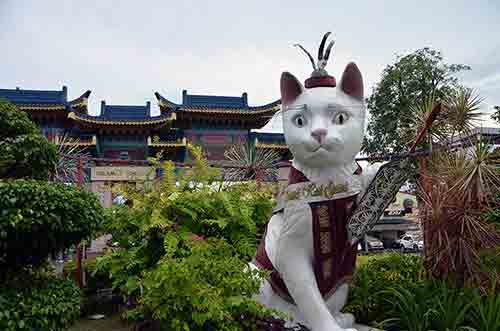 big cat kuching-AsiaPhotoStock