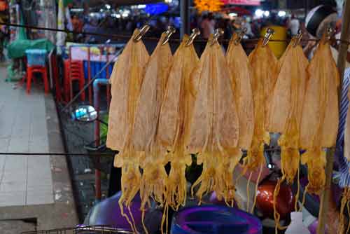 big dry squid-AsiaPhotoStock