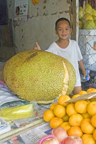 big jack fruit and boy-AsiaPhotoStock