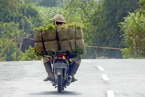 tobacco on a bike-AsiaPhotoStock