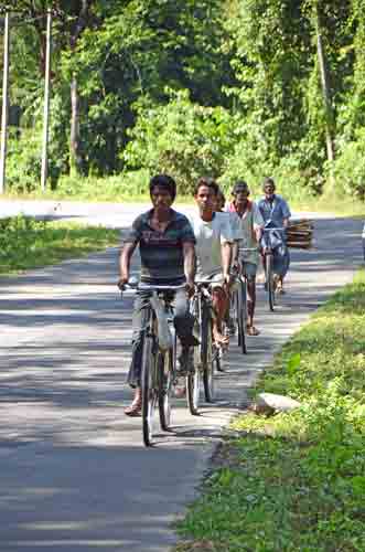 bikes-AsiaPhotoStock