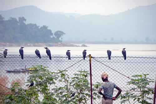 birds man-AsiaPhotoStock