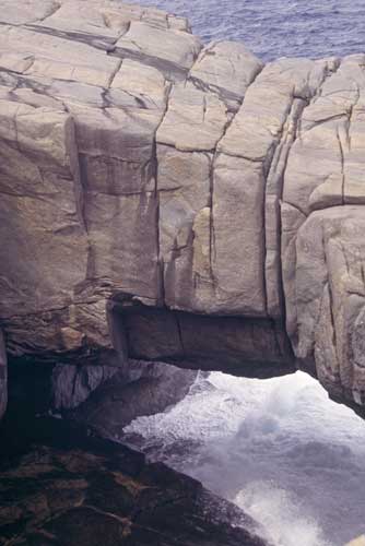 natural bridge albany-AsiaPhotoStock