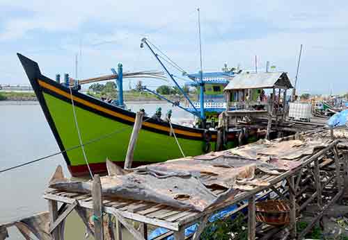 boat skins-AsiaPhotoStock