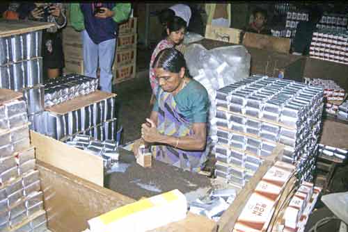 packing boh tea-AsiaPhotoStock