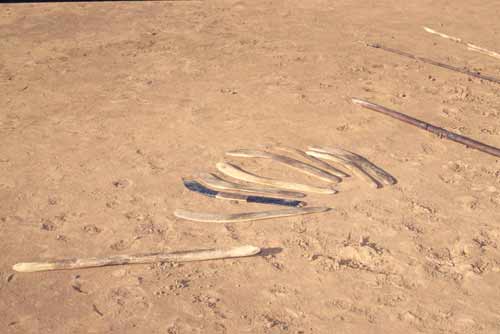 boomerangs-AsiaPhotoStock