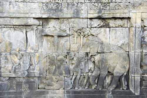 borobudur temple detail-AsiaPhotoStock