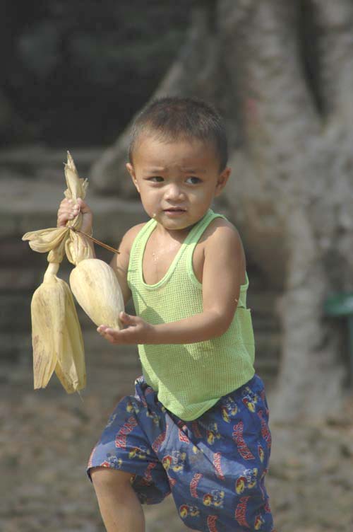 boy with corn-AsiaPhotoStock