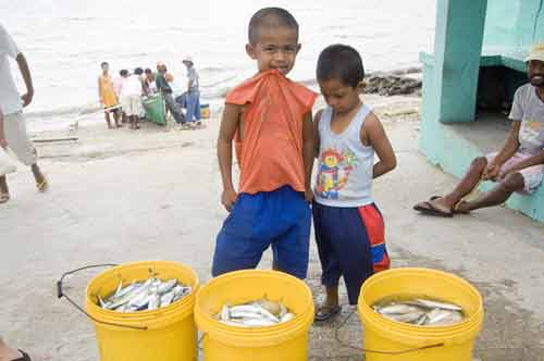 boys and buckets of fish-AsiaPhotoStock