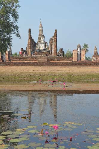 buddha lily pond-AsiaPhotoStock