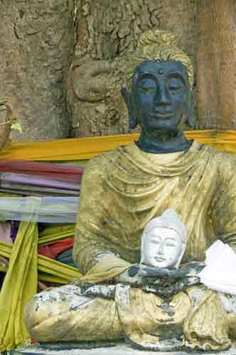 buddha sila ngu-AsiaPhotoStock