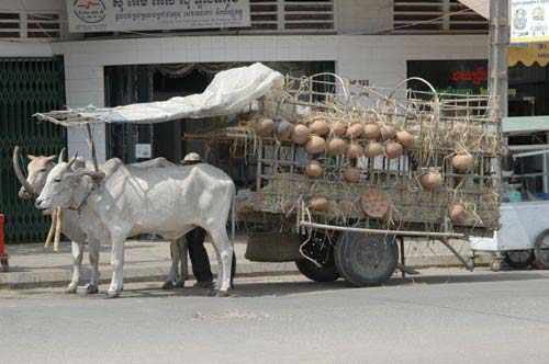 bullock cart and pottery-AsiaPhotoStock