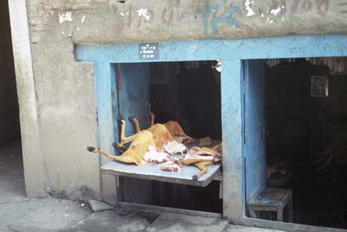 delhi butcher-AsiaPhotoStock