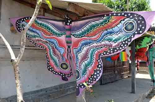 butterfly kite bali-AsiaPhotoStock