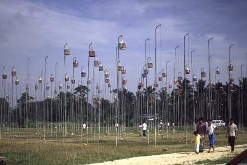 song bird poles-AsiaPhotoStock