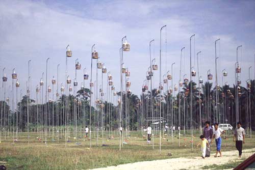 song bird cages-AsiaPhotoStock