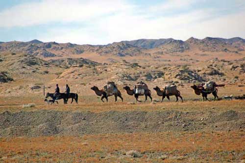 camel train-AsiaPhotoStock