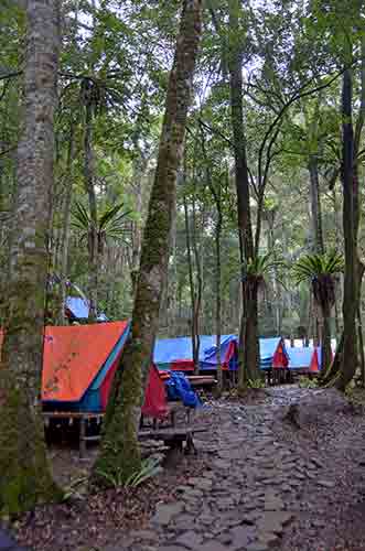 camp simalem-AsiaPhotoStock