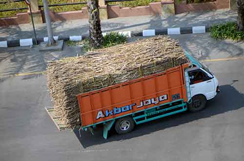 cane truck-AsiaPhotoStock