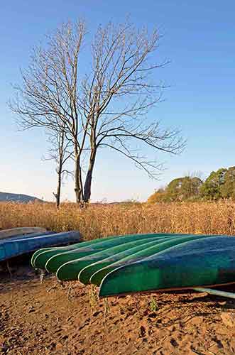 canoes onuma-AsiaPhotoStock