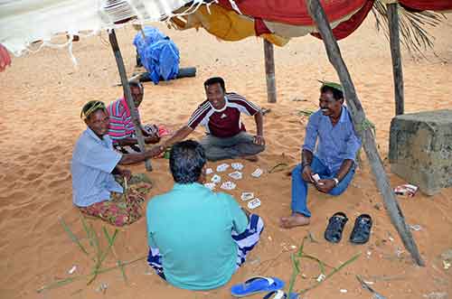 card playing-AsiaPhotoStock