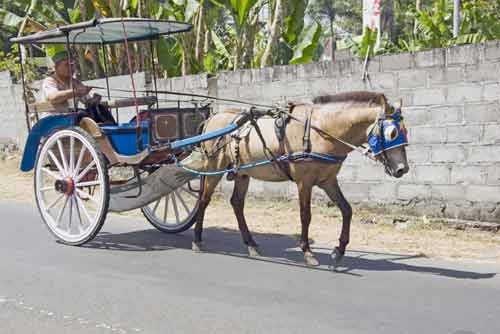 carriage borobudur-AsiaPhotoStock