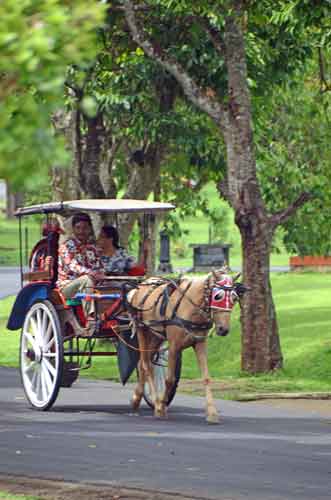 carriage borobudur java-AsiaPhotoStock