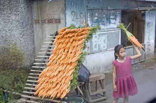 carrots-AsiaPhotoStock