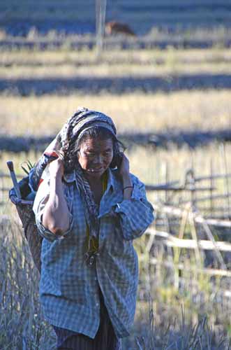 carrying-AsiaPhotoStock