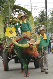 carabao festival-AsiaPhotoStock