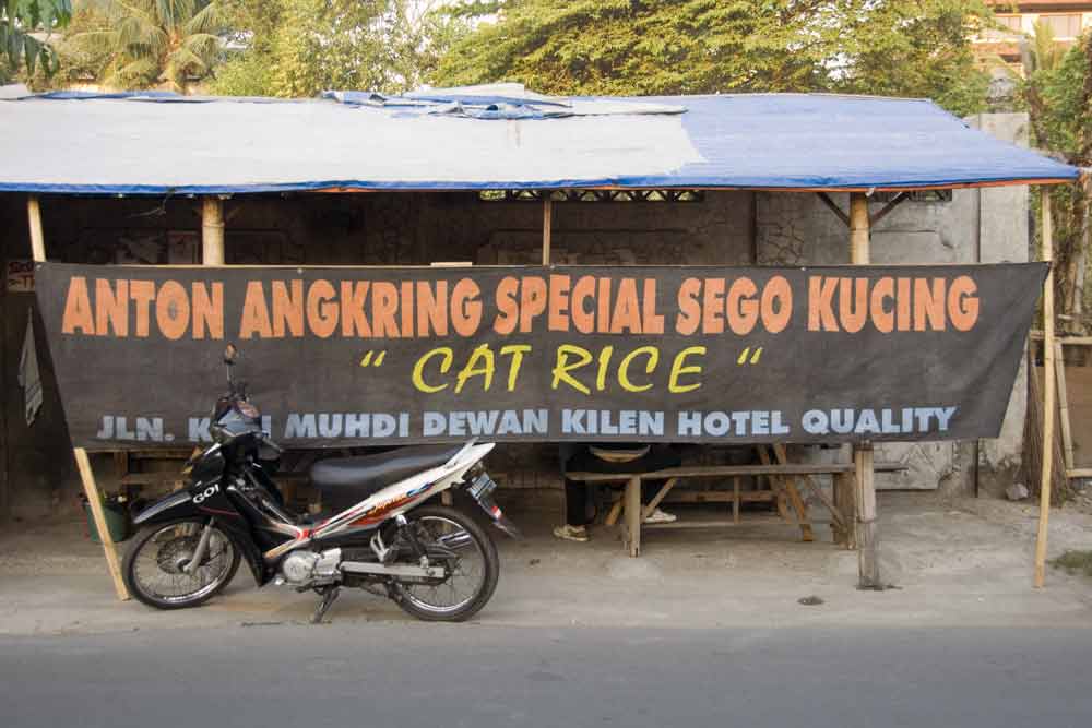 AsiaPhotoStock, cat rice