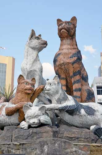 cat statue in kuching-AsiaPhotoStock