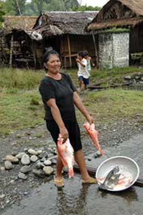 fish lady-AsiaPhotoStock