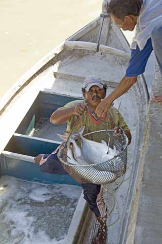 catch of fish-AsiaPhotoStock