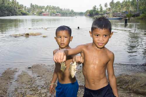 catch of small fish-AsiaPhotoStock