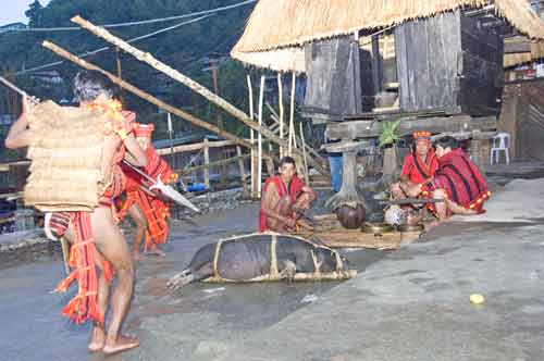 dance ceremony-AsiaPhotoStock