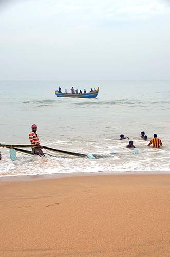 chasing fish-AsiaPhotoStock