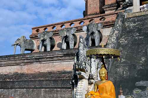 chedi luang elephants-AsiaPhotoStock