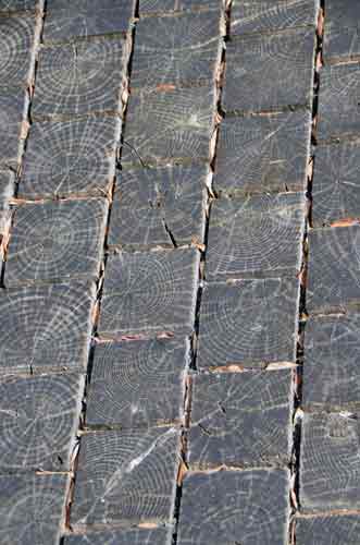 chestnut tiles-AsiaPhotoStock