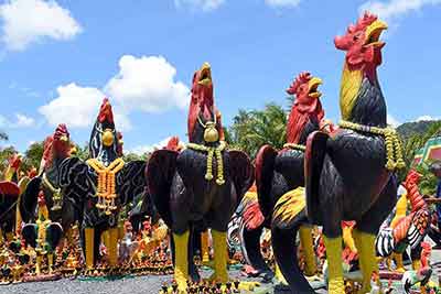 chicken figures-AsiaPhotoStock