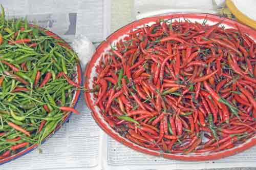 chilli spices-AsiaPhotoStock