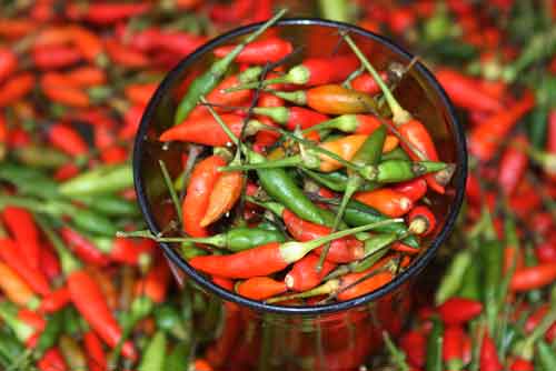 chilli bowl at market-AsiaPhotoStock