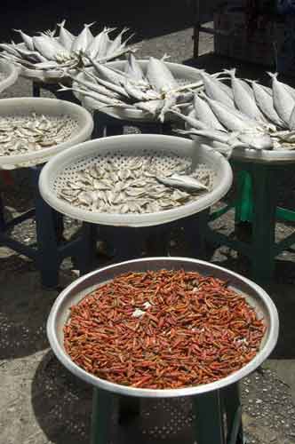 chilli and dried fish-AsiaPhotoStock