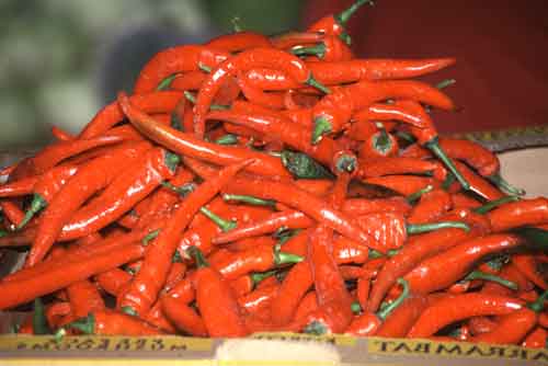 red hot chilli peppers-AsiaPhotoStock
